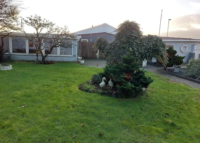 Venos * 希茨海尔斯